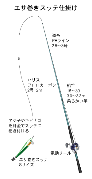 エサ巻きスッテ仕掛け