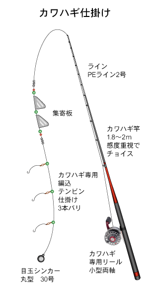 胴突き仕掛け,かわはぎ釣り