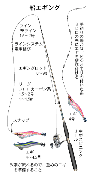 アオリイカ|(船)エギング仕掛け