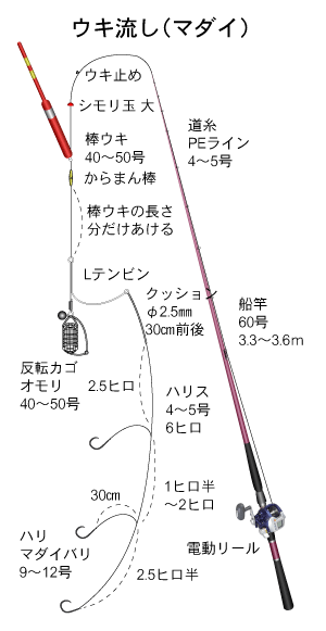 マダイ(真鯛)|ウキ流し