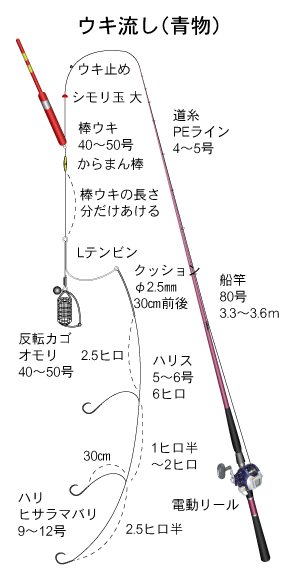 ブリ,ヒラマサ 他(青物)|ウキ流し|船釣り