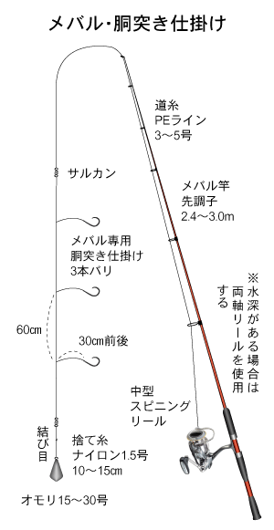 メバル|胴突き仕掛け|船釣り