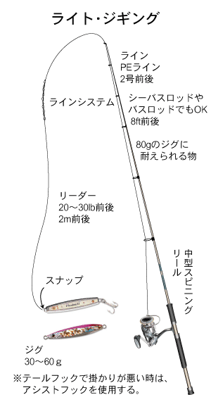 サワラ,アジ,サバ,タチウオ|ライトジギング